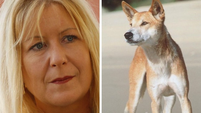 In the wake of a series of serious dingo incidents at K’Gari outspoken expert Jennifer Parkhurst says, absent a radical solution like capping tourist numbers, the focus must not be on dingoes’ behaviour but rather people’s.