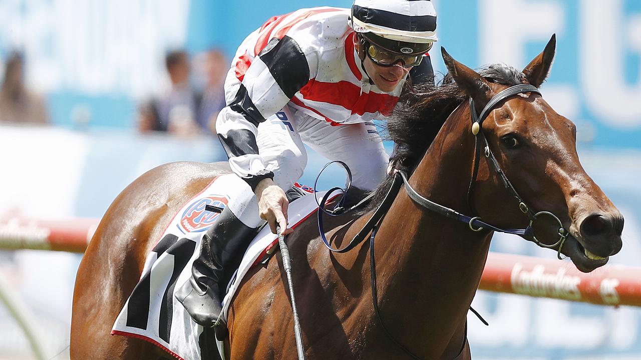 Whip use in horse racing: Study shows Australian jockeys use whip more