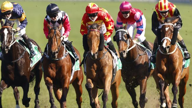 Always Sure (red/yellow) was a little unlucky at Hawkesbury last start and will appreciate the big Scone track. Getty Images