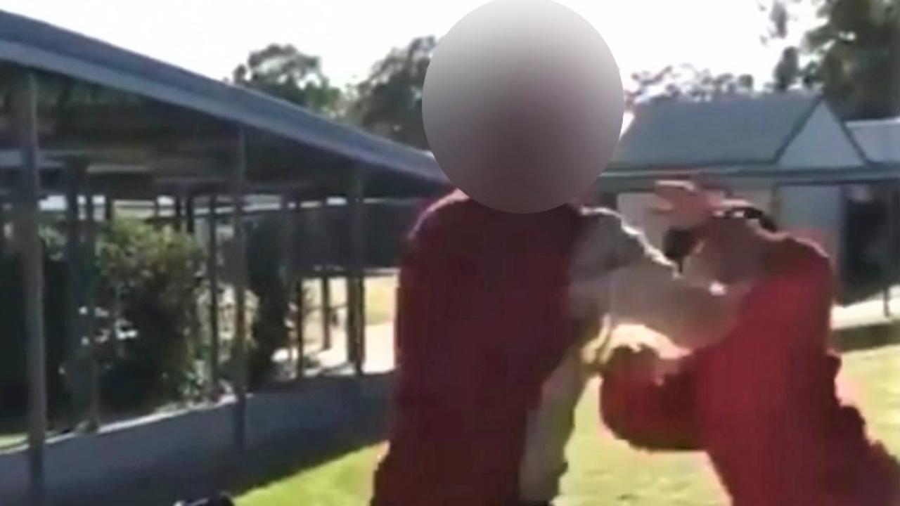 The Department of Education responds to Tin Can Bay State School fights.