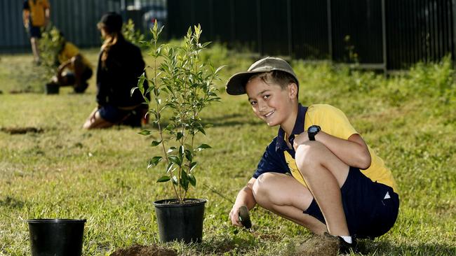 Plant a tree with your children on DoSomething Day.