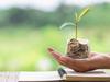 O magic money tree, where art thou?