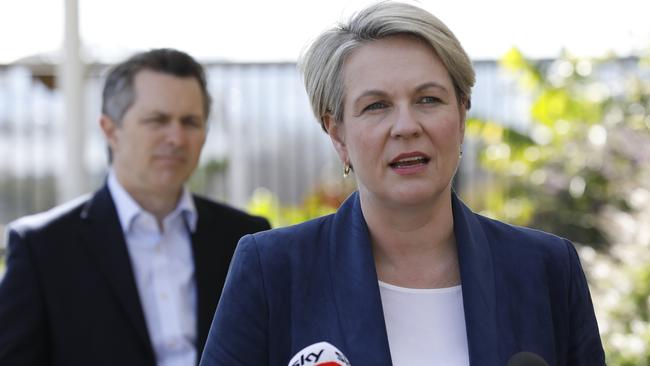 Shadow Minister for Education Tanya Plibersek wants a higher standard for teaching students. Picture: Damian Shaw