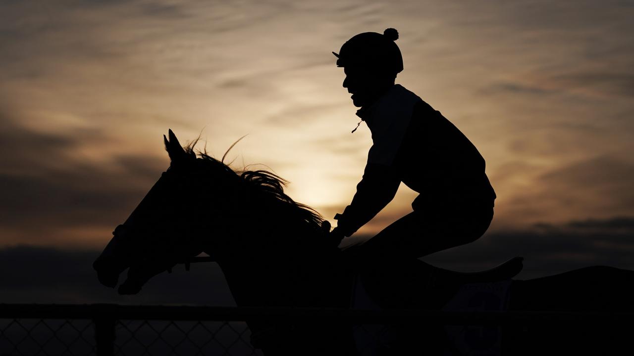 Constantinople looms ominously over this year’s Melbourne Cup. (AAP Image/Michael Dodge)