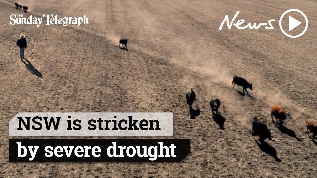 NSW stricken by severe drought