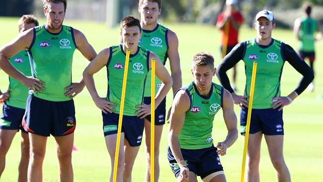 Crows Training