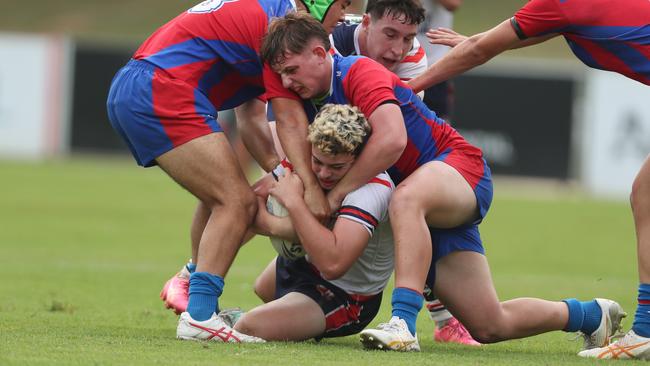 Kalen Cashin held by the Knights’ defence. Picture: Sue Graham