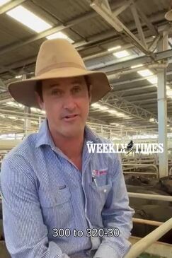 Hear from a buyer, agent and seller at the Wodonga weaner sale