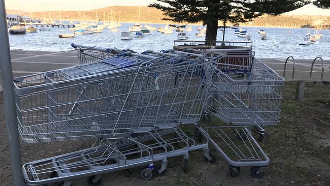 Aldi trolleys left on the East Esplanade reserve at Manly Cove for close to a week.