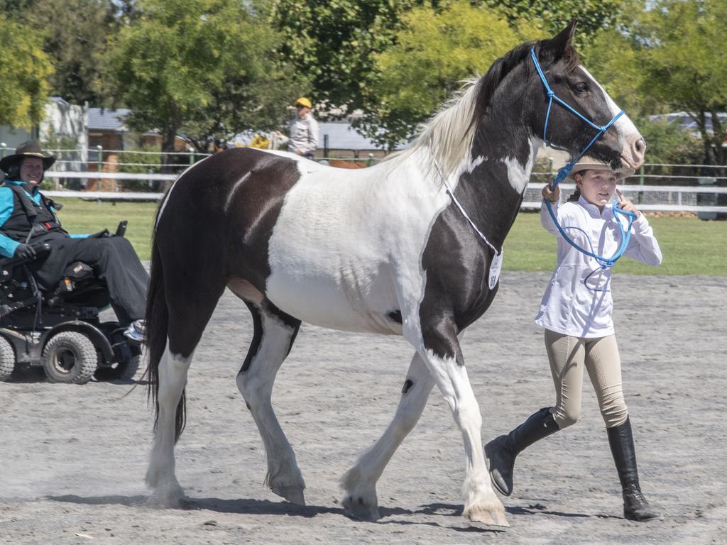 Matilda Brand 10yo takes part in the Led Obstacle Course with Caboonbah Heavens Gift. Picture: Nev Madsen.