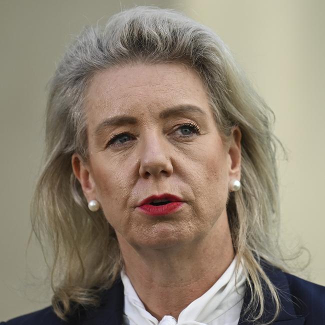 Shadow Infrastructure Minister Bridget McKenzie. Picture: Martin Ollman