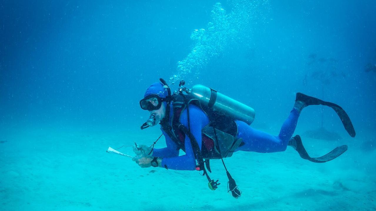 Citizen science while scuba diving at John Brewer Reef. Photo: Supplied.