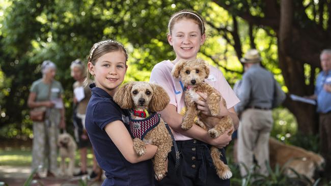 Sisters Penelope (left) holding Murphy and Annie Morgan holding Molly at the Blessing of the Pets at All Saints Anglican Church, Saturday, October 12, 2024. Picture: Kevin Farmer