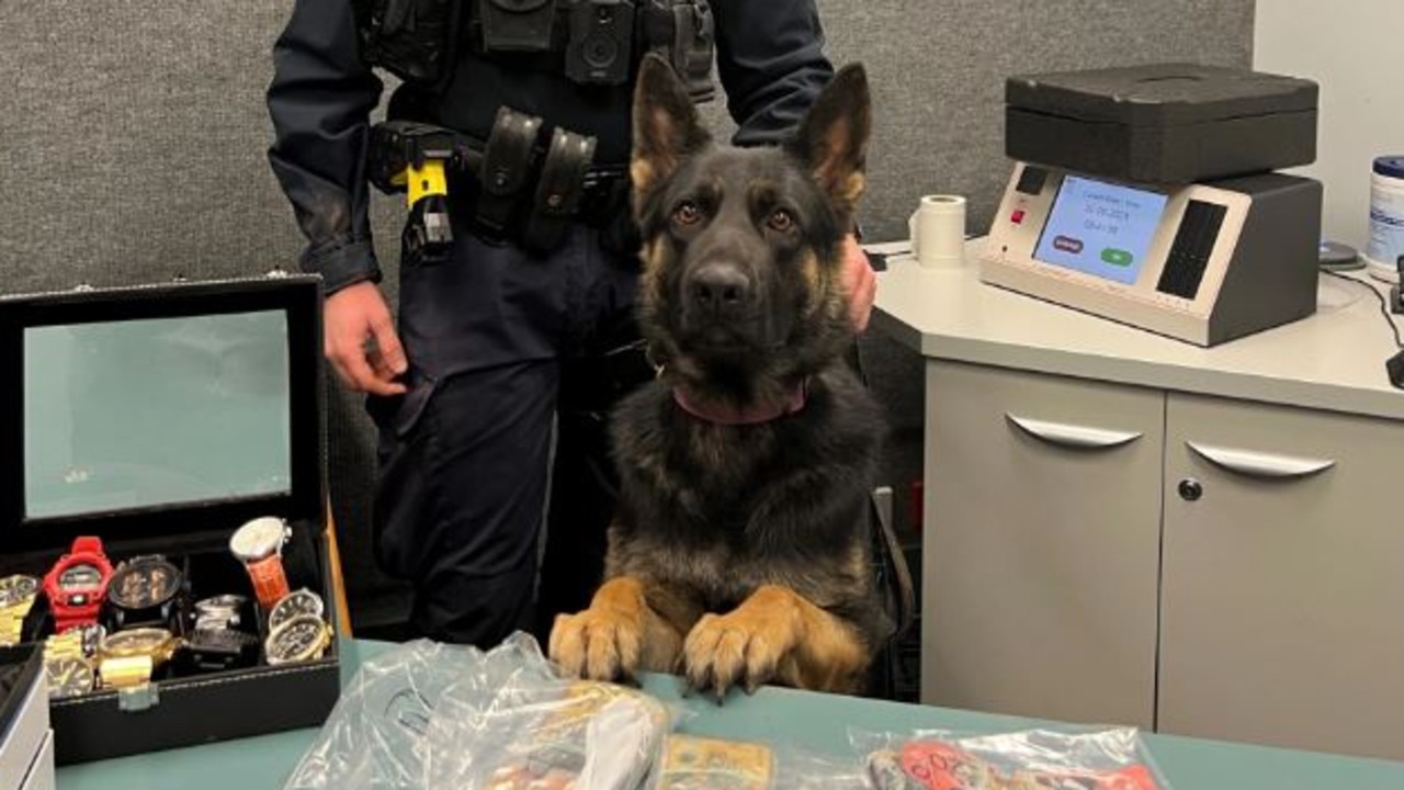 Man charged after police dog sniffs out meth, cash haul