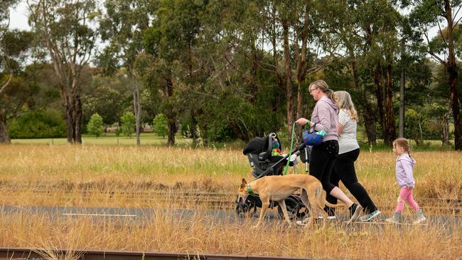 The Council is close to finalising their new legislation for the Dog and Cat Management Act. IMAGE: City of Mount Gambier Council