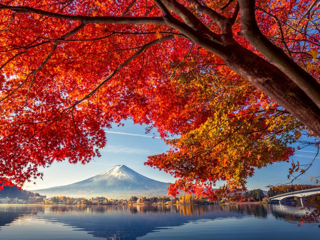 <h2>Mount Fuji</h2><p>Increase your chance to bask in Fuji-san's magnificence by booking nearby &ldquo;Fuji-facing&rdquo; accommodation in either Fuji Five Lakes or Hakone regions. Alternatively zip up <a href="https://klook.prf.hn/click/camref:1011lSLfA/pubref:ESC--evergreen--/destination:https://www.klook.com/en-AU/activity/4911-tokyo-tower-main-observatory-ticket-tokyo/" target="_blank" rel="noopener">Tokyo Tower</a> or <a href="https://klook.prf.hn/click/camref:1011lSLfA/pubref:ESC--evergreen--/destination:https://www.klook.com/en-AU/activity/41352-tokyo-skytree/" target="_blank" rel="noopener">Skytree</a> on clear-skied days, sip sunset drinks with a complimentary Fuji show at top-tier hotel bars like <a href="https://www.hyatt.com/en-US/hotel/japan/hyatt-regency-hakone-resort-and-spa/hakhr" target="_blank" rel="noopener">Grand Hyatt</a> and <a href="https://www.guestreservations.com/hotel-metropolitan-tokyo-ikebukuro/booking?gclid=EAIaIQobChMIpJGZiIHl4QIV1Y6PCh1gTQ-YEAAYAyAAEgJQffD_BwE" target="_blank" rel="noopener">Metropolitan Ikebukuro</a> or travel south from Tokyo via <a href="https://klook.prf.hn/click/camref:1011lSLfA/pubref:ESC--evergreen--/destination:https://www.klook.com/en-AU/rails-32/1012-japan/" target="_blank" rel="noopener">shinkansen</a>, requesting &ldquo;Fuji-side&rdquo; seats - keep eyes peeled from 30 minutes in &mdash; you&rsquo;re welcome!</p><p><strong>Top tour: </strong><a href="https://klook.prf.hn/click/camref:1011lSLfA/pubref:ESC--evergreen--/destination:https://www.klook.com/en-AU/activity/20537-fuji-owakudani-ropeway-hakone-ship-gotemba-outlet-trip-tokyo/" target="_blank" rel="noopener">Mount Fuji and Hakone One Day Trip from Tokyo, Klook, $160</a></p>