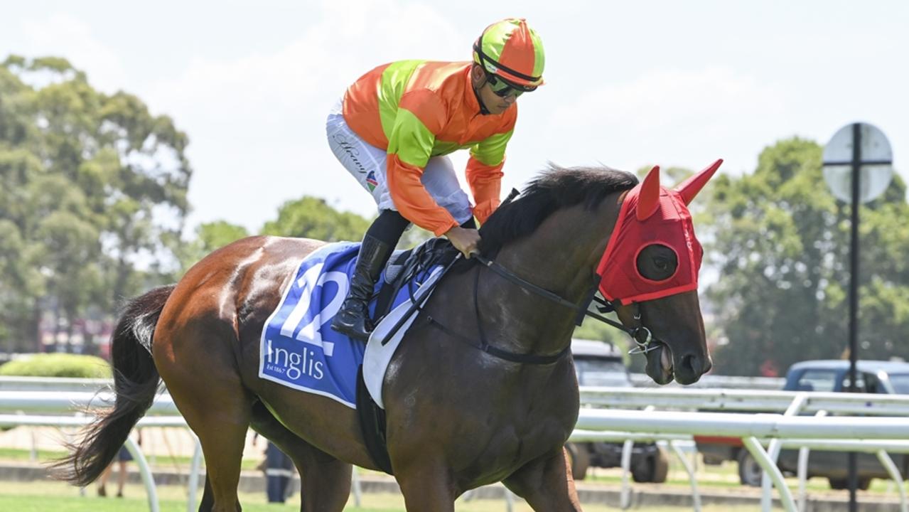 Form analyst Shayne O'Cass gives Too Many Kisses a terrific winning chance at Kembla Grange on Saturday. Picture: Bradley Photos