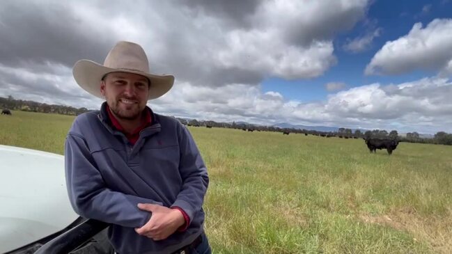 Luke Bowen named as Cattle Australia CEO | The Weekly Times