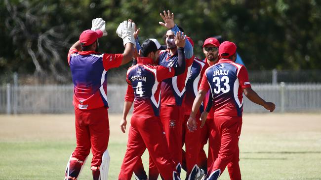 Mulgrave Punjabi's celebrates a dismissal. PICTURE: BRENDAN RADKE