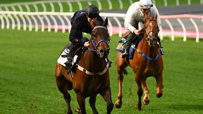 Top WA mare Amelia’s Jewel had a look at The Valley on Monday morning to prepare for Friday night’s Group 2 Stocks Stakes. Picture: Getty Images