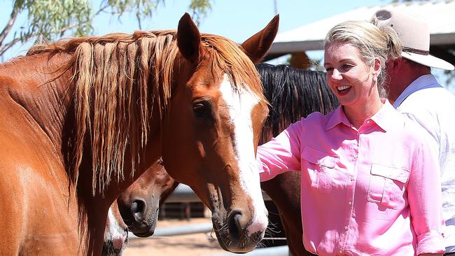 Deputy Nationals leader, Senator Bridget McKenzie, billed taxpayers for flights to catch the cricket. Picture: Kym Smith