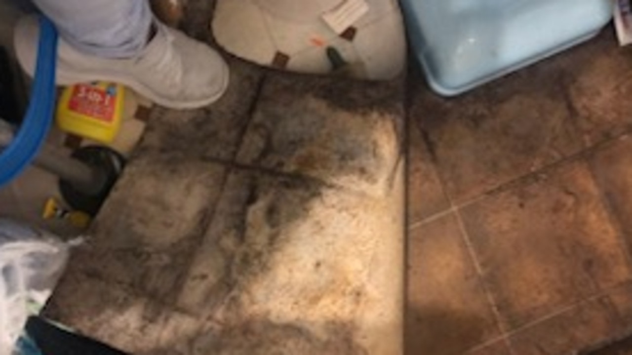 Bell Park grandmother her daughter and two grandsons have been evicted from their rental home after 9 years, after reporting black mould. Picture: Supplied