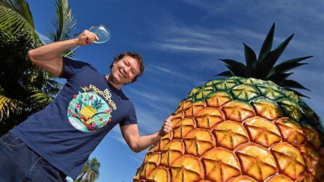 Organiser of the Big Pineapple Music Fest Mark Pico and his team have recently won best Music Festival at the Queensland Music Awards. Picture: Patrick Woods