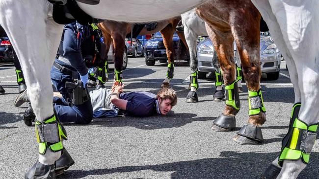 The man is restrained on the ground. Picture: Jake Nowakowski