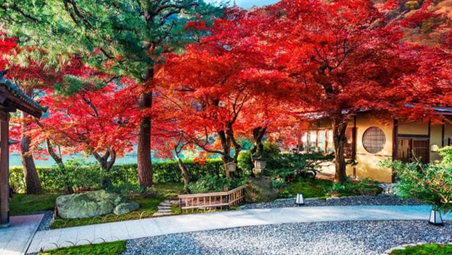 Stay in a luxury ryokanThe Suiran hotel sits beside the Hozu River and runs just 39 rooms which channel many traditional ryokan with a bunch of contemporary touches. For the most authentic stay, book the Kyotsukikoto room with its tatami mats and sliding doors. Also worth noting is that 17 out of the 39 rooms offer private onsen bathing. The Kyo-Suiran restaurant is also pretty special. Not just for the intersection of washoku cuisine and French cuisine but the fact that it is housed in a century old traditional villa built in 1899 by Baron Shozo Kawasaki.Book here