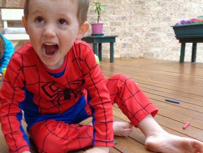 William Tyrrell pictured on the day he vanished from his foster grandmother’s house in Kendall in September 2014. Picture: NSW Police