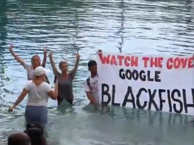 Protesters at Sea World in the pool when the dolphin show was about to start.