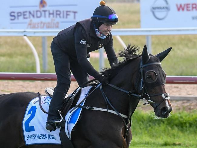 Spanish Mission during trackwork at Werribee Racecourse on October 22, 2021 in Werribee, Australia. (Brett Holburt/Racing Photos via Getty Images)