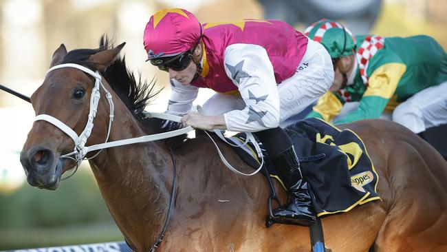 Haut Brion Her has a faultless second-up record. Picture: Getty Images