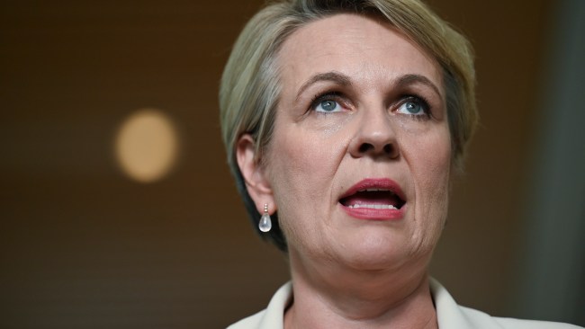 ‘I Stand By The Decision’: Environment Minister Tanya Plibersek Defends ...