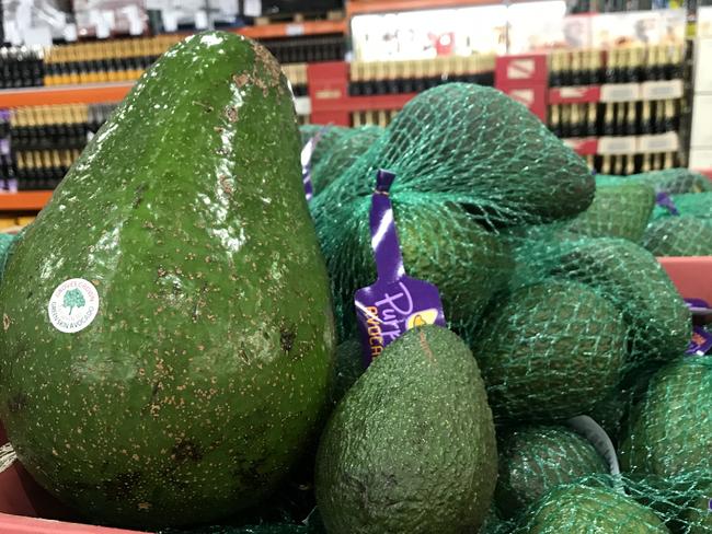 The 1.7kg Avozilla alongside normal avocados.