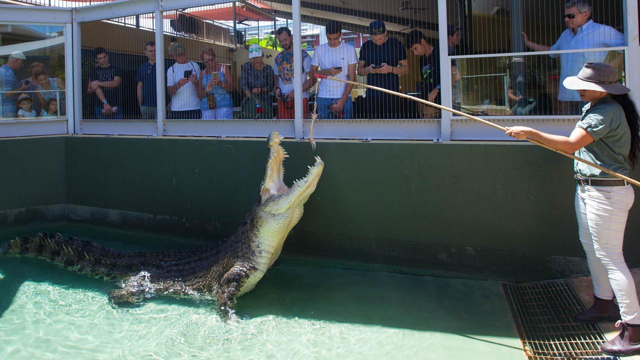 Crocodile Dundee star croc Burt dies at Crocosaurus Cove | NT News