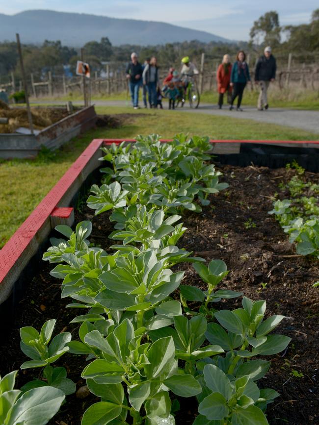 Knox Community Gardens members wander through the scenic site.