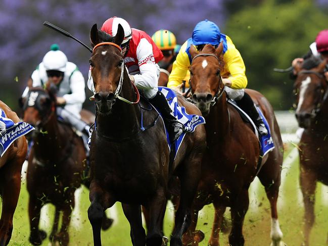 Jockey Brenton Avdulla rides no.5 Kandinsky to victory during Race 2 at Warwick Farm, Sydney. Pic Brett Costello