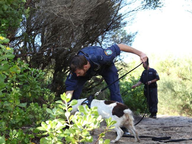 Police use a cadaver dog to search sand dunes at Magenta.