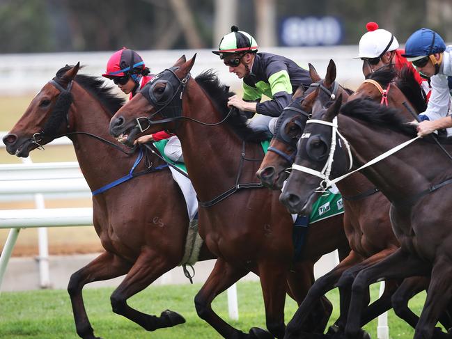 The field get away at the start of the 2200m race 2 during mid week racing at Warwick Farm. Winner No.3 Thewayweare ridden by Blake Shinn. (green and black). Picture. Phil Hillyard