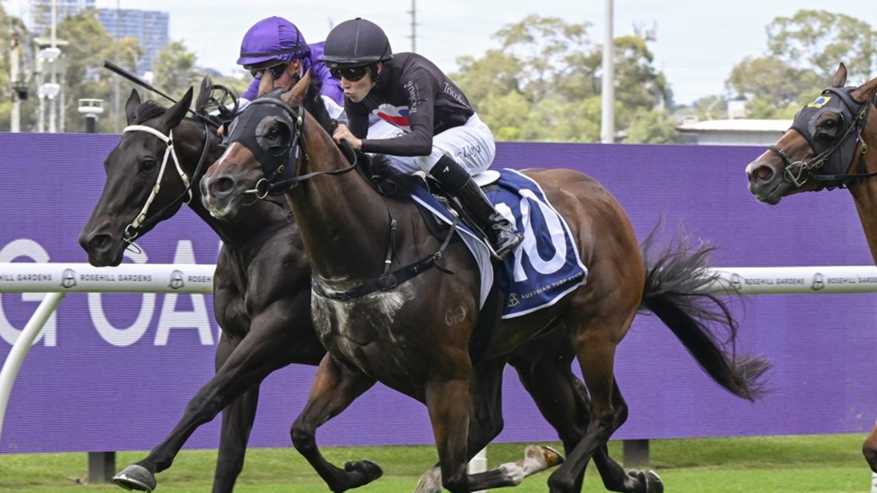 Newcastle preview: Home track has Doyle’s gelding set to Attack