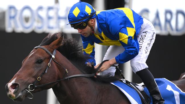 Dawn Passage goes on top in a tough BRC Sprint. Picture: AAP