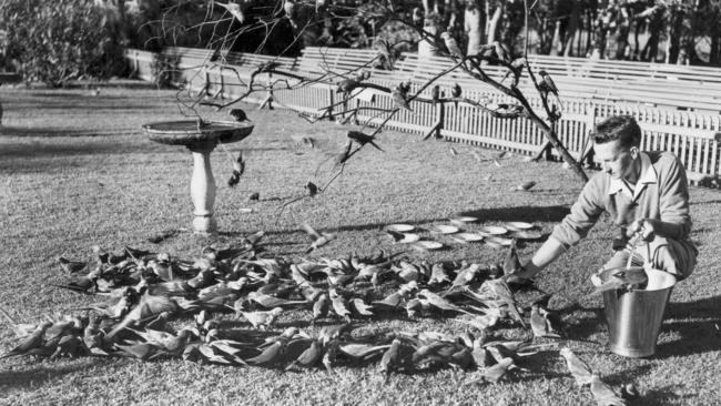 Alex Griffiths at Currumbin Sanctuary Picture: Supplied