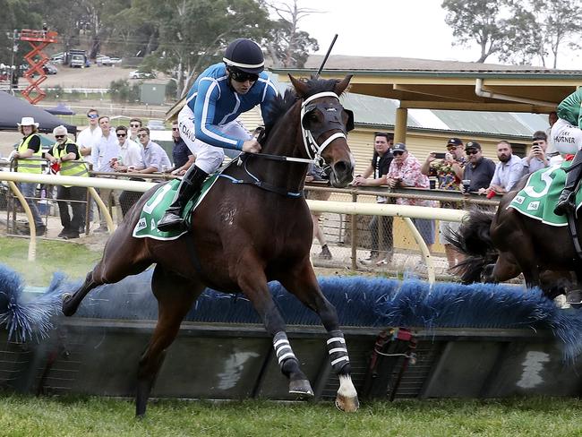 Rob David rides Casiraghi to victory in the Thomas Farms Classic Hurdle at Oakbank. Picture Sarah Reed