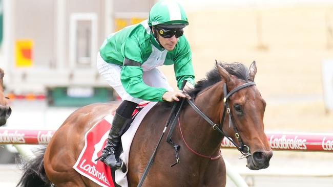 Refusetobeenglish (NZ) ridden by Ben Melham wins the Frankston Sand Soil &amp; Mini Mix Handicap at Cranbourne Racecourse on November 23, 2024 in Cranbourne, Australia. (Photo by Scott Barbour/Racing Photos via Getty Images)