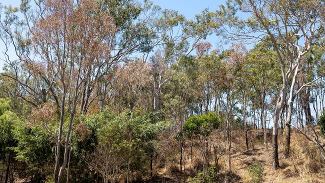 The Point Vernon parklands where the poisonings occurred.