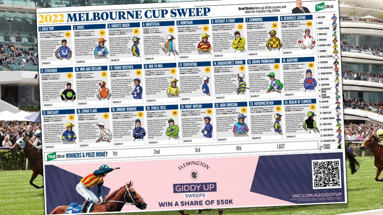 Download your 2022 Melbourne Cup sweep poster The Advertiser