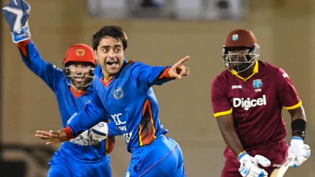Rashid Khan (C) will become the first Afghan to play in the Big Bash League.
