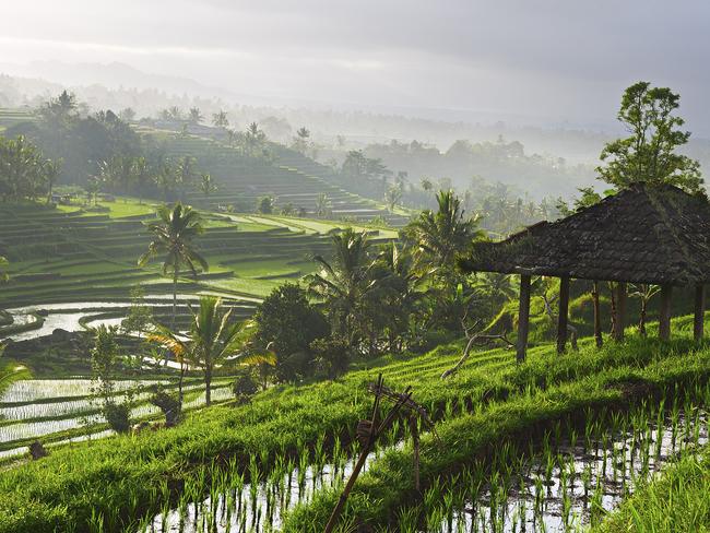 With views like this, is it any wonder that Aussies love Bali? Picture: iStock