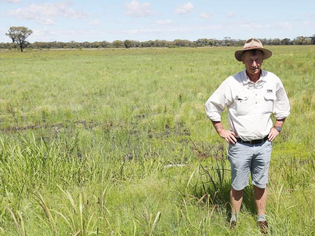 Peter Taylor from SMK Consultants on the site of a potential agricultural college in Moree that was shelved because of the high cost attached to it by the Biodiversity Offset scheme. Picture John Grainger